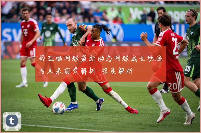 蒂亚福网球最新动态网球成长轨迹与未来前景解析-深度解析