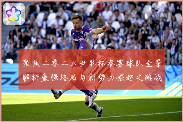 聚焦二零二六世界杯参赛球队全景解析豪强格局与新势力崛起之路战术观察-深度解析